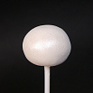 Краситель сухой перламутровый Caramella Белый жемчуг, 5 гр фото 2