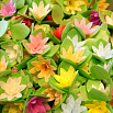 Вафельные цветы На трилистнике Коробка, 200 шт. фото 1