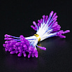 Тычинки на нитке Фиолетовые морозные, 50 шт фото 1
