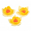 Сахарные цветы "Нарцисс желтый", 9 штук фото 1