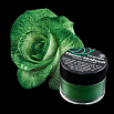Пыльца кондитерская Темно-зеленая Caramella 4 гр фото 1