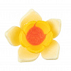 Сахарные цветы "Нарцисс желтый", 9 штук фото 2