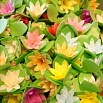 Вафельные Цветы на трилистнике, 10 шт. фото 1