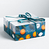 Коробка для 4 капкейков с прозрачной крышкой "Счастья", мандаринки 16*16*7,5 см фото 1